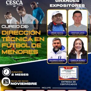 CURSO DE DIRECCIÓN TÉCNICA EN FÚTBOL DE MENORES