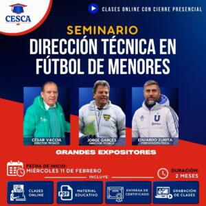 CURSO DE DIRECCIÓN TÉCNICA EN FÚTBOL DE MENORES